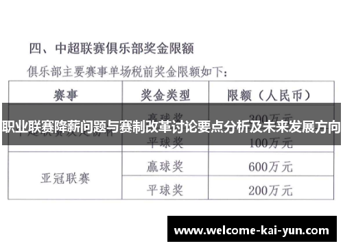 职业联赛降薪问题与赛制改革讨论要点分析及未来发展方向 职业联赛降薪问题与赛制改革讨论要点分析及未来发展方向